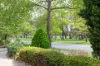 103  Madigan Street, Hackett, ACT 2602-Image