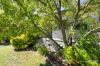 103 Mitchelmore Street, Mount Austin, NSW 2650-Image