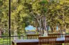 103 Natuna Avenue, Budgewoi, NSW 2262-Image