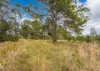 103 Old Bar Road, Old Bar, NSW 2430-Image