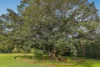 103 Plantation Drive, Ewingsdale, NSW 2481-Image