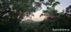 103 Ronald Road, Forest Creek, Qld 4873-Image