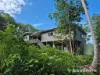103 Ronald Road, Forest Creek, Qld 4873-Image