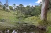 103 Ruwoldts Road, West Woombye, Qld 4559-Image
