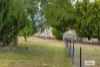 103 Spring Gully Road, Huon Creek, Vic 3691-Image