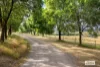 103 Spring Gully Road, Huon Creek, Vic 3691-Image