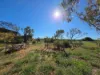 103 William Street, Carnarvon WA 6701-Image