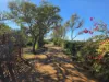 103 William Street, Carnarvon WA 6701-Image