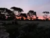 1038 Monarto Road, Monarto, SA 5254-Image