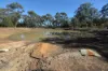 1039 Staircase Road, Mandagery, NSW 2870-Image