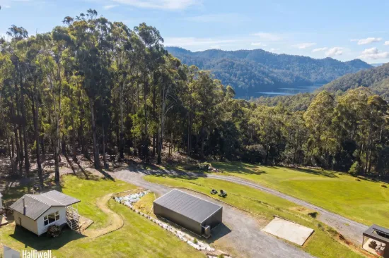 1039 West Kentish Road, West Kentish, Tas 7306