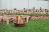 103B Jannali Av, Jannali, NSW 2226-Image