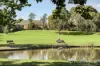 104/95 Thames Street, Box Hill, Vic 3128-Image