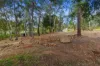 104 Arbornine Road, Glenwood, Qld 4570-Image