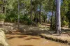 104 Arbornine Road, Glenwood, Qld 4570-Image