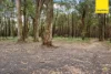 104 Coffeys Road, Bullengarook VIC 3437-Image