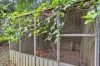 104 Green Forest Road, Kuranda, Qld 4881-Image