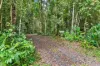 104 Green Forest Road, Kuranda, Qld 4881-Image