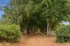 104 Grimwade Road, Balingup WA 6253-Image