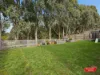 104 Isabella Boulevard, Korumburra, Vic 3950-Image