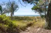 104 Kingfisher Parade, Toogoom, Qld 4655-Image