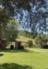 104 Mount Vincent Road, Mount Vincent, NSW 2323-Image