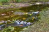 104 Mountain View Road, Maleny, Qld 4552-Image