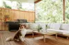 104 Springfield Road, Springfield, NSW 2250-Image