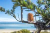 104 Swanwick Drive., Coles Bay, Tas 7215-Image