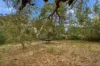 104 TI-TREE DRIVE, Golden Beach, Vic 3851-Image