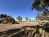 1046 St Kitts Road, Dutton, SA 5356-Image