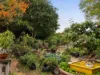 10483 New England Highway, Highfields, Qld 4352-Image