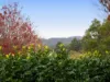 10483 New England Highway, Highfields, Qld 4352-Image