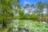 105-111 West Wilchard Road, Castlereagh, NSW 2749-Image