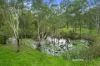 105-111 West Wilchard Road, Castlereagh, NSW 2749-Image