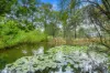 105-111 West Wilchard Road, Castlereagh, NSW 2749-Image
