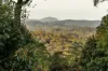 105 Barsons Road, Montville, Qld 4560-Image