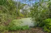 105 Garden Drive, Urangan, Qld 4655-Image