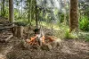 105 Hansen Road, Yugar, Qld 4520-Image