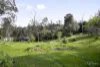 105 Kangaroo Ground Warrandyte Road, North Warrandyte, Vic 3113-Image