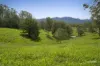 105 Kethels Road, Bellingen, NSW 2454-Image