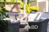 105 Mackie Road, Narangba, Qld 4504-Image