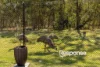 105 Newham Drive, Cambridge Gardens, NSW 2747-Image