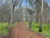 105 Old Dry Creek Road, Bonnie Doon VIC 3720-Image