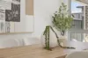 105 Olive Hill Drive, Cobbitty, NSW 2570-Image