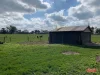105 Osborn Road, Bayles, Vic 3981-Image