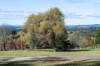 105  Oxleys Hill Road, Bowral, NSW 2576-Image