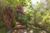 105 Petterd Street, Page, ACT 2614-Image