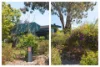 105 Petterd Street, Page, ACT 2614-Image
