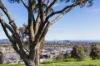 105 Rob Riley Circuit, Bonner, ACT 2914-Image